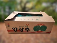 [땅끝맛]국내산 양상추 6통 (3kg내외) : 땅끝맛