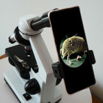 학생용 현미경 5000배 광학 고배율 과학 실습 : 취미팩토리