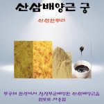 산삼101 산삼배양근 궁 60ml 5포 6BOX 자연산산삼 어린이 수험생 청소년 도움 : 씨비엔바이오텍산삼101총판