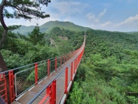 [단독여행] 외국인 선호투어  (DMZ 헤이리 감악산출렁다리 마장호수 황포돛배 식사) : 주식회사 리드유어트립