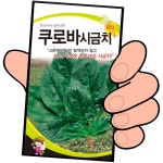 쿠로바시금치 30g 채소씨앗 시금치씨 종자 시금치무침 가드닝 주말농장 텃밭 세계종묘 : 농약사유
