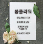 서울 일원동 화환배달 일원동 화환배송 일원 무료꽃배달 : 쏭플라워 무료꽃배달