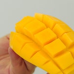 무지개망고 지구별 태국망고 마하차녹 : 지구별파머스