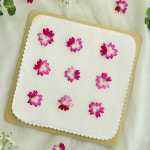 압화만들기 원예수업 압화공예 전자레인지 10분컷 꽃누르미 플라워프레스 : 체크스토리