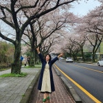 제주 벗꽃 축제 나 지금 봄이야 뽐내봐 봄을 즐겨봐 찬란한 봄이야기 : 퐁낭아래