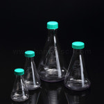 에스피엘 플라스크 SPL73250 SPL Erlenmeyer Flask : 싸이프렌드