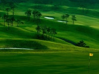 [경상도골프] 경주 서라벌CC 1박2일 골프패키지 : GOLMACATOUR