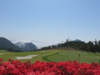 [경상도골프] 통영 동원로얄CC 1박2일 골프패키지 : GOLMACATOUR
