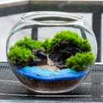 이끼테라리움 DIY 키트 해변 만들기 : 내츄럴팟 스토어