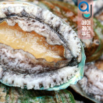 살아있는 완도 전복 1kg 24미-27미 외 택1 (완도산 활전복 산소포장 손질솔포함) : 에이제이푸드