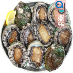 팜앤푸드 완도점 | 살아있는 완도 전복 1kg 24미-27미 외 택1 (완도산 활전복 산소포장 손질솔포함) : 에이제이푸드