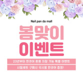 네일아트 국가고시 실기시험 자격증세트set - 최고급형 : 네일판다몰