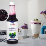 토브웰7 블루베리 주스 과일 농축액 스무디 에이드 카페재료 원액 음료 쥬스 베이스 1L : 채움샵