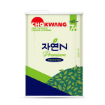 조광 자연N 외벽용 1급 특녹색 18L 건축용 벽면 수성 : 올바른페인트