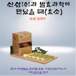 산삼101과 발효과학이 만났을 때 (효소) 내지방분해 천종산삼 배양근 : 씨비엔바이오텍산삼101총판