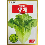 동원웰빙생채 생채 상추 씨앗 종자 2g 25년포장 동원농산종묘 : 팜씨드