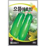 으뜸애호박 씨앗 30립 마디애호박 종자 텃밭 야채 채소 23년산 행복이네 : 행복이네농약농자재
