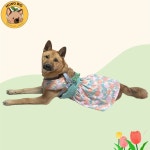 멍빅 중형견옷 대형견옷 튤립 원피스 멍피스 강아지옷 : 멍빅