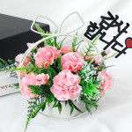 DIY키트 코코 어버이날 카네이션 꽃바구니 만들기 재료 카네이션선물 : 더라임코리아