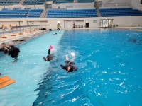 어린이 체험 다이빙 스킨스쿠버 원데이클래스 (바다앤 문학다이빙, 문학박태환수영장) : 인천문학다이빙 스킨스쿠버