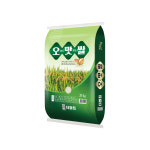 (25년 햅쌀/당일도정) 오늘도 맛있는 쌀 20kg(20kg 전용지대) : 이쌀이다