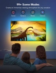 Govee TV LED 백라이트 55-75 인치 용 블루투스 Wi-Fi 제어  스마트 조명 : 어스브라이트