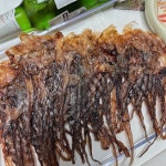 망족 대왕오징어다리 오다리 300g 대 10마리, 중 13마리 소 20마리 내외 : 초이스건어물