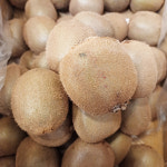 [경산시 배달] 참다래 국산 그린 키위 8개 [경산공설 한진청과] : 동네시장 장보기