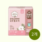 좋은느낌 유기농순면 내추럴코어 울트라날개 중형 60매 x 2개 : 와이비케이