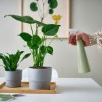 이케아 TOMAT 분무기 : 로씨네 슈퍼마트