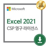 [마이크로소프트] MS Excel LTSC 2021  [CSP 영구 라이선스] : 프린터 디씨몰