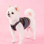 루비디 강아지 여름 옷 마카롱 크롭 끈나시 민소매 실내복 쿨링 : 루비디 lubidy