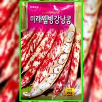 미래웰빙 강낭콩씨앗 25g 강낭콩씨 종자 : 씨앗을 부탁해