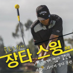 808 골프 장타 스윙연습기 실내 비거리 드라이버 연습장 닭장 스크린골프 : 808GOLF