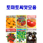 토마토 씨앗모음 24년 : 제일농약사