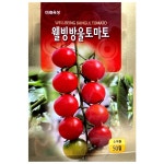 웰빙 방울토마토씨앗 50립 방울토마토씨 종자 : 씨앗을 부탁해