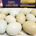 사포닌청란 유황먹은 동물복지계란 유정란 알부자 청란 15구 : 언니네산지직송