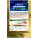 금장외 대파씨앗 8g 대파씨 종자 : 씨앗을 부탁해