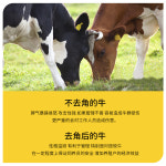 소제각기 양 염소 뿔깎는기계 제거기 황소 : 모이코이 배송대행