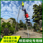 대형 과수원사다리 농자재 과일수확 높은나무 조경 : 호르마켓