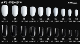 네일 리필팁 네일팁 숏오발 50개입 : 와일리뷰티