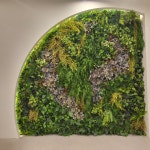 79네 수육국밥 : leaflio