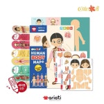 5세 유아 우리몸 배우기 인체탐구 퍼즐 교구 인지발달 : 하선 누리장난감 교구