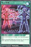 러시듀얼 한글판 더☆카피  (RD/KP12-KR046) 노멀 : 티씨지스카이