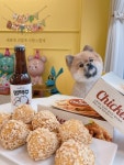 [냥냥쩝쩝] 강아지수제간식 강아지생일파티 강아지치킨 1Box : 냥냥쩝쩝