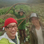 경북안동 우엉즙 100ml 50포 국내산100% : 웰빙건강마을