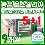 푸른입홍합 AKBA 인도산 1000mg 보스웰리스 치커리 가루 : 어썸제이디