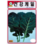녹즙용케일씨앗 건강케일 1000립 진흥종묘 23년 : 제일농약사