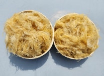 도하네농장 국산 제주 청정 우뭇가사리 자연산 햇 한천 우무묵 말린 우미 200g : 도하네농장