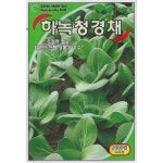 그린하트 하녹 청경채 씨 씨앗 종자 : 바른농자재